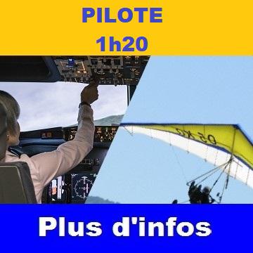 1h00 SUR AVION DE LIGNE ET BAPTEME DE L'AIR EN ULM